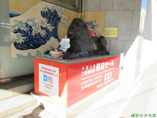イメージ 8
