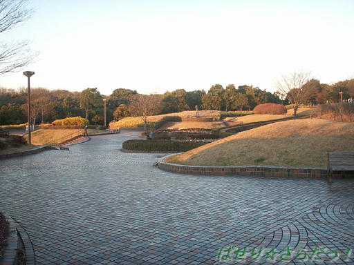 イメージ 6