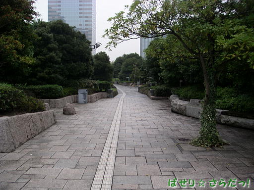 イメージ 5