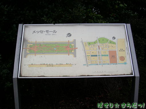 イメージ 6