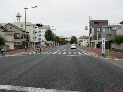 イメージ 5