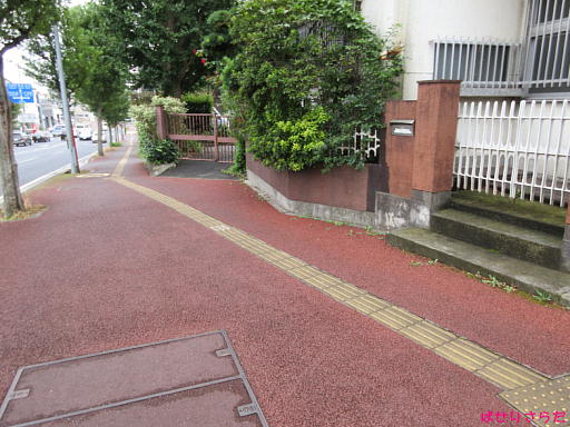 イメージ 6