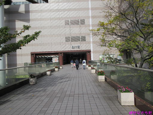 イメージ 3