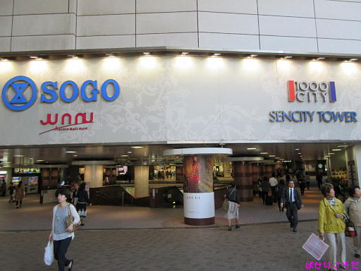 イメージ 6