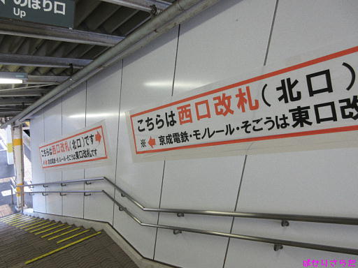 イメージ 6