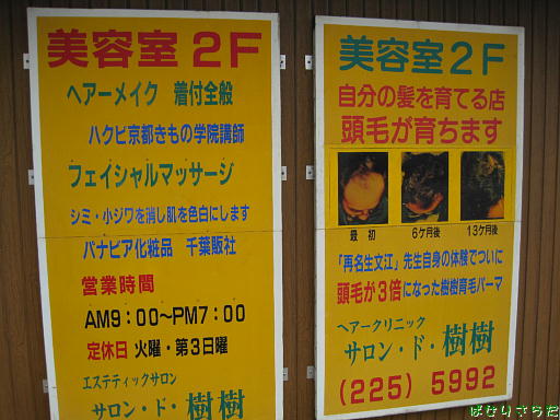 イメージ 6