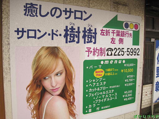 イメージ 7