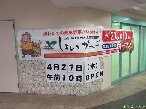 イメージ 3