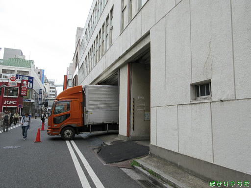 イメージ 5