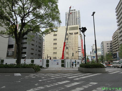 イメージ 9