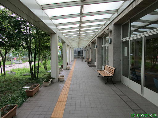 イメージ 6