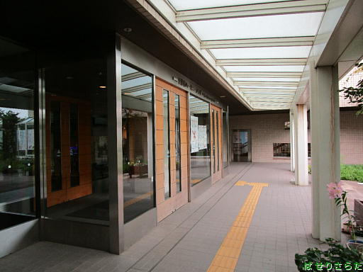 イメージ 7