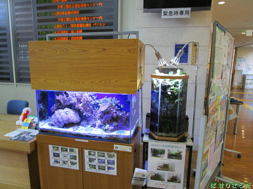 イメージ 8