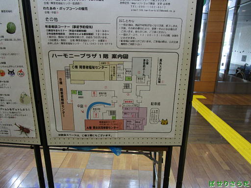イメージ 9