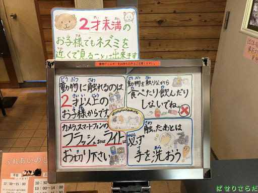 イメージ 6