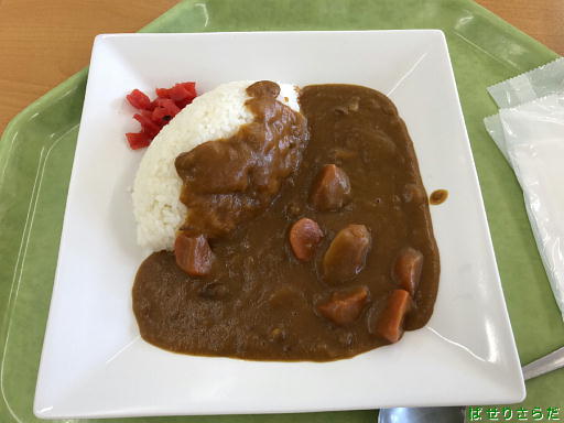 イメージ 8