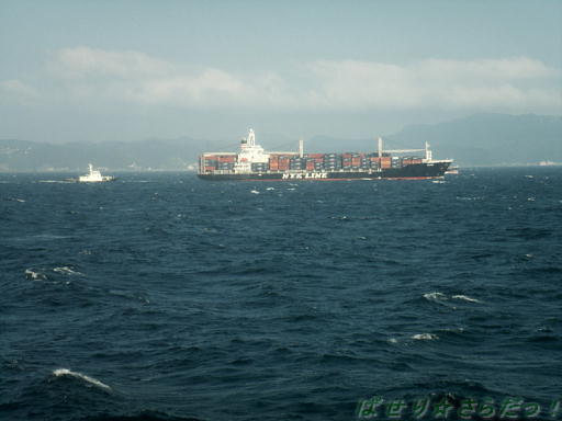 東京湾フェリー 金谷港へ編 富津市金谷へ うたちゃん日記