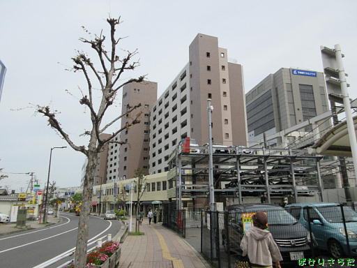 イメージ 6