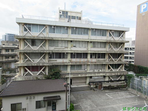 イメージ 6