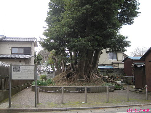 イメージ 3