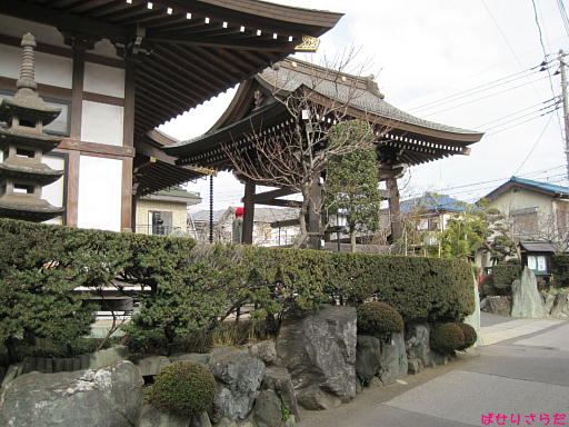 イメージ 8
