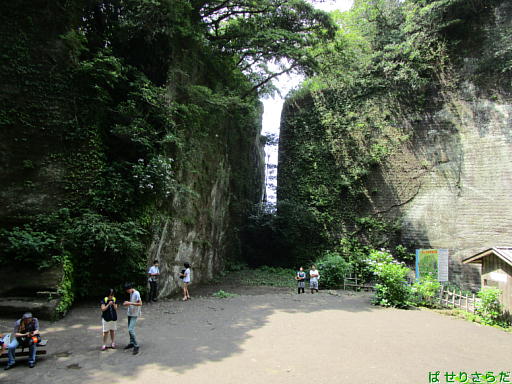 イメージ 6