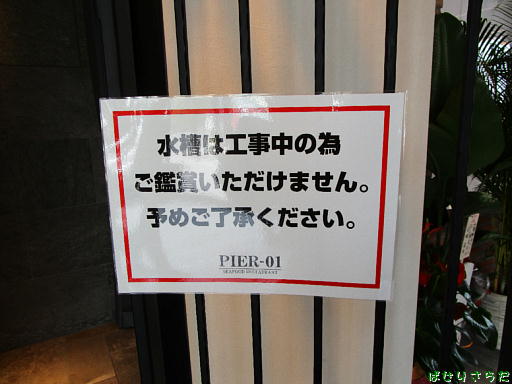 イメージ 6