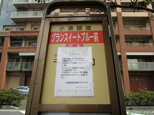 イメージ 7