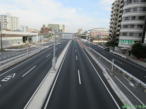 イメージ 7