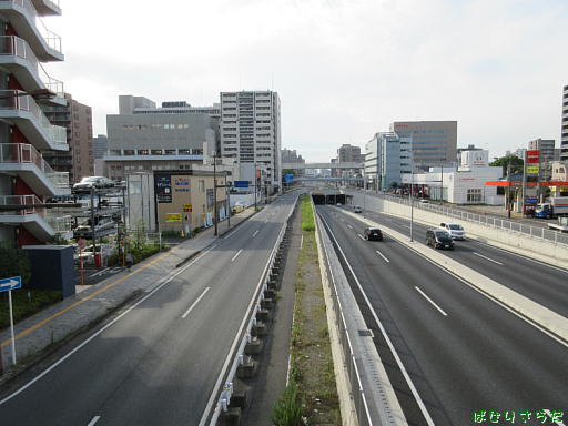 イメージ 8