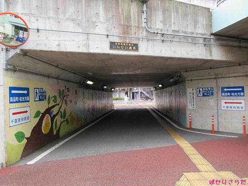 イメージ 3