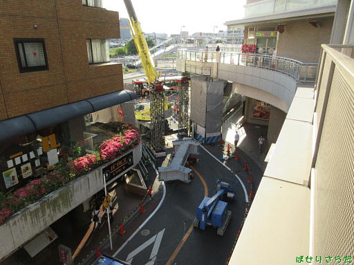 イメージ 5