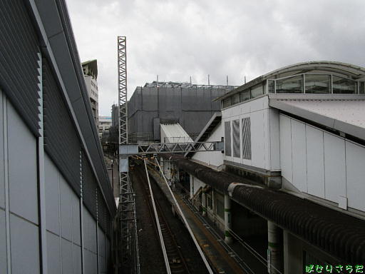 イメージ 7