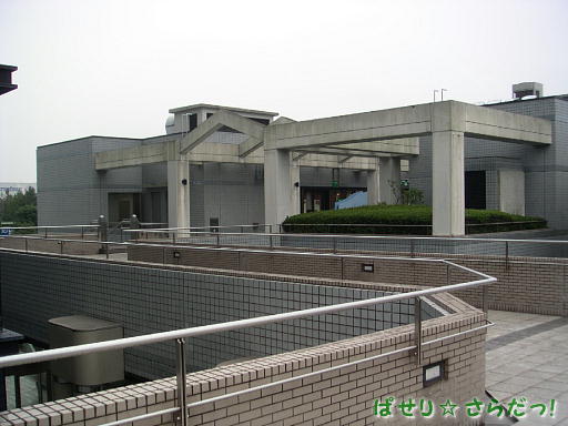 イメージ 6
