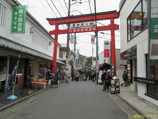 イメージ 4