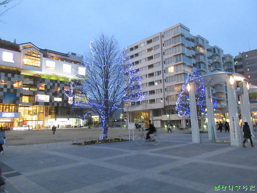 イメージ 5