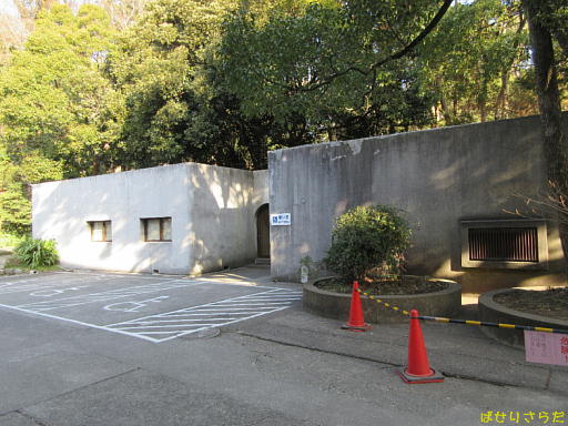 イメージ 6