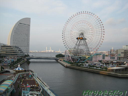 イメージ 5