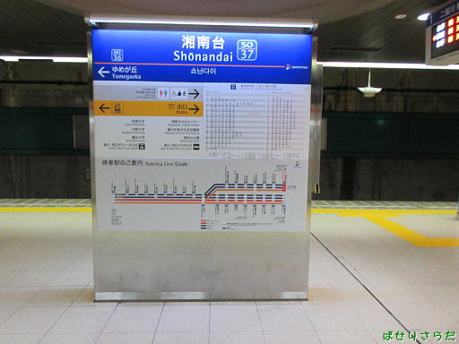 イメージ 5