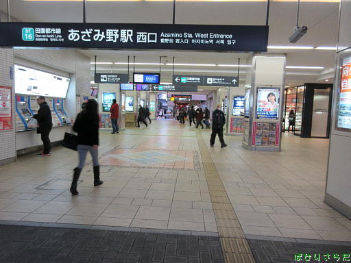 イメージ 6
