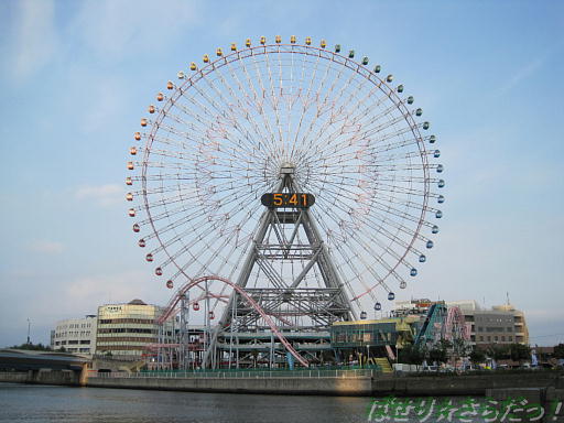 イメージ 6