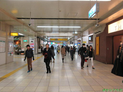 イメージ 5