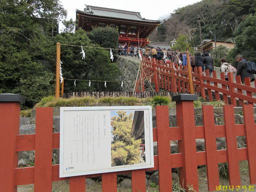 イメージ 2