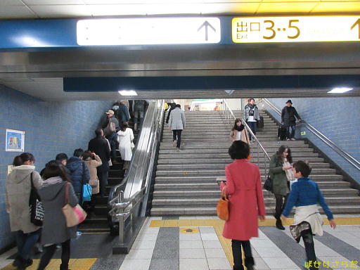 イメージ 6