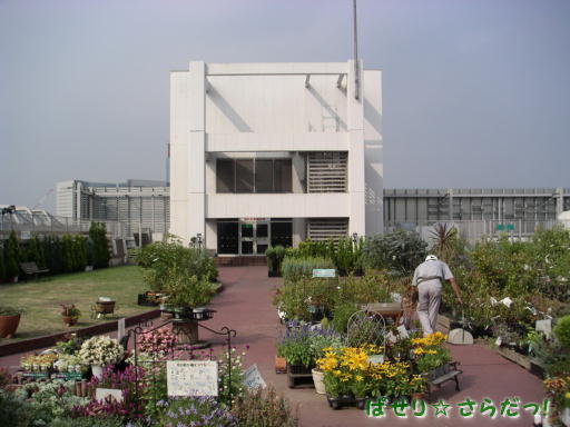 イメージ 2