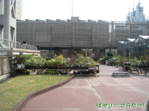 イメージ 4