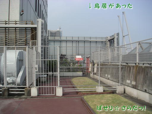 イメージ 5