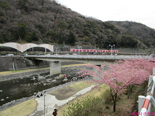 イメージ 7