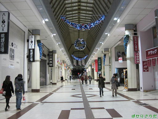 イメージ 6