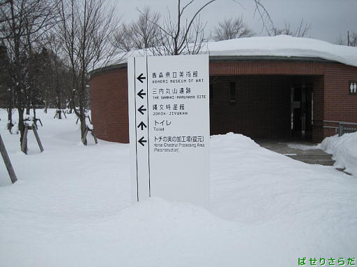 イメージ 6